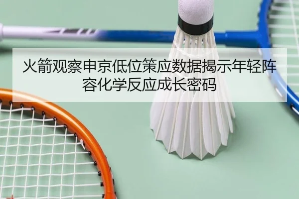 火箭观察申京低位策应数据揭示年轻阵容化学反应成长密码